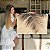 Quadro Decorativo Canvas Paisagem Sombra de Palmeiras na areia Horizontal - Imagem 7