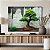 Quadro Decorativo Canvas Árvore Bonsai Horizontal - Imagem 4