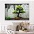 Quadro Decorativo Canvas Árvore Bonsai Horizontal - Imagem 5