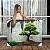 Quadro Decorativo Canvas Árvore Bonsai Horizontal - Imagem 1