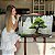 Quadro Decorativo Canvas Árvore Bonsai Horizontal - Imagem 7