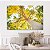 Quadro Decorativo Canvas Paisagem Árvore Cássia Chuva Dourada Horizontal - Imagem 5