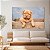 Quadro Decorativo Canvas Pets Filhote de Cachorro Bordeaux Bebe Horizontal - Imagem 2