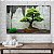 Quadro Decorativo Flutuante Árvore Bonsai Horizontal - Imagem 3