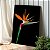 Quadro Decorativo Canvas Flor Strelitzia reginae Ave do paraíso Vertical - Imagem 1