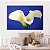 Quadro Decorativo Canvas Floral Flor Copo de Leite Branco Horizontal - Imagem 2