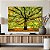 Quadro Decorativo Canvas Paisagem Árvore Grande com Folhas caídas no chão Horizontal - Imagem 2