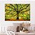 Quadro Decorativo Canvas Paisagem Árvore Grande com Folhas caídas no chão Horizontal - Imagem 5