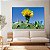 Quadro Decorativo Canvas Natureza Floral Cacto em Flor Amarela Horizontal - Imagem 2
