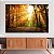 Quadro Decorativo Canvas Paisagem Natureza Bosque ao Amanhecer Horizontal - Imagem 3