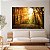 Quadro Decorativo Canvas Paisagem Natureza Bosque ao Amanhecer Horizontal - Imagem 2