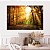 Quadro Decorativo Canvas Paisagem Natureza Bosque ao Amanhecer Horizontal - Imagem 5