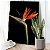 Quadro Decorativo Flutuante Flor Strelitzia reginae Ave do paraíso Vertical - Imagem 3