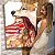 Quadro Decorativo Canvas Índia com Pele de Lobo - Imagem 6