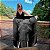 Quadro Decorativo Canvas Animais Elefante Fundo Preto - Imagem 1