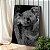 Quadro Decorativo Canvas Animais Coala Preto e Branco - Imagem 4