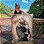 Quadro Decorativo Canvas Animal Silvestre Elefante Pensativo de Terno Perfil - Imagem 1