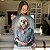 Quadro Decorativo Canvas Cachorro com Camisa e Lenço - Imagem 5