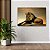 Quadro Decorativo Flutuante Animal Selvagem Leão Rei Floresta Entardecer Horizontal - Imagem 3