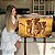Quadros Decorativos Canvas Paisagem Savana Trio De Leões Filhotes Horizontal - Imagem 7
