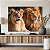 Quadro Decorativo Canvas Animais Casal De Leões Deitados Horizontal - Imagem 4