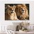 Quadro Decorativo Canvas Animais Casal De Leões Deitados Horizontal - Imagem 5