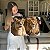 Quadro Decorativo Canvas Animais Casal De Leões Deitados Horizontal - Imagem 6