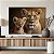 Quadro Decorativo Canvas Animais Leoa Com Seu Filhote Horizontal - Imagem 4
