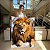 Quadro Decorativo Canvas Animal Selvagem Leão Deitado sob a Pedra Vertical - Imagem 7