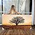 Quadro Decorativo Canvas Paisagem Árvore Seca Em Meio A Terra Horizontal - Imagem 7