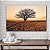 Quadro Decorativo Canvas Paisagem Árvore Seca Em Meio A Terra Horizontal - Imagem 2