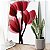 Quadro Decorativo Canvas Floral com Flores Tulipas Vermelhas Minimalistas III Vertical - Imagem 5