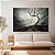 Quadro Decorativo Canvas Paisagem Abstrata Árvore Sinuosa Galhos Secos Preto e Branco Horizontal - Imagem 2