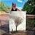 Quadro Decorativo Canvas Paisagem Outono com Árvore Seca balançando ao vento Vertical - Imagem 1