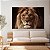 Quadro Decorativo Canvas Face Leão Rei de Judá Colorido Horizontal - Imagem 2