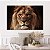 Quadro Decorativo Canvas Face Leão Rei de Judá Colorido Horizontal - Imagem 5