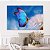 Quadro Decorativo Canvas Borboleta Pousando no Dente de Leão Horizontal - Imagem 5