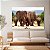 Quadro Decorativo Canvas Animais Família de Elefantes Caminhando Horizontal - Imagem 3