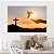 Quadro Decorativo Canvas Religioso A pomba da Paz com Cruz ao Fundo Horizontal - Imagem 4
