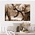 Quadro Decorativo Canvas Animais Elefantes Encostando as Trombas Horizontal - Imagem 4
