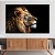Quadro Decorativo Canvas Perfil da Face Leão Rei de Judá Fundo Preto Horizontal - Imagem 2