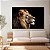 Quadro Decorativo Canvas Perfil da Face Leão Rei de Judá Fundo Preto Horizontal - Imagem 5