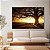 Quadro Decorativo Canvas Paisagem de Grande Árvore com Bancos ao Pôr do Sol Horizontal - Imagem 3