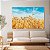 Quadro Decorativo Canvas Paisagem Campo de Trigo com Céu Azul Horizontal - Imagem 2