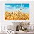 Quadro Decorativo Canvas Paisagem Campo de Trigo com Céu Azul Horizontal - Imagem 4
