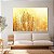 Quadro Decorativo Canvas Paisagem Trigos em Zoom com Detalhes Horizontal - Imagem 3