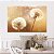 Quadro Decorativo Canvas Dois Dentes de Leão em Detalhes Horizontal - Imagem 4
