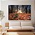 Quadro Decorativo Canvas Paisagem Natureza Outono Folhas Caídas Horizontal - Imagem 3