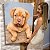 Quadro Decorativo Canvas Pet Cachorro Filhote Bordeaux Bebe Chien Vertical - Imagem 5