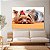 Quadro Decorativo Canvas Pet Cachorro Yorkshire terrier Horizontal - Imagem 3